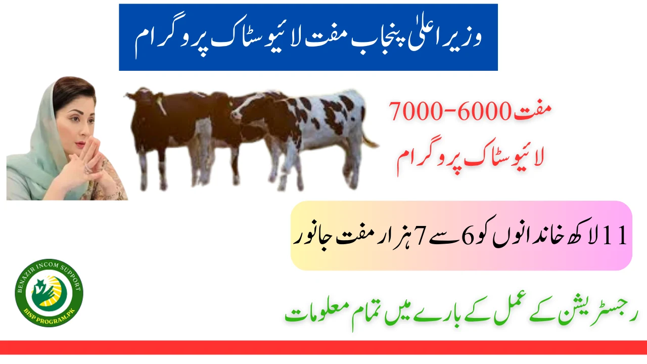 وزیراعلیٰ پنجاب مفت لائیو سٹاک پروگرام فیز 2
