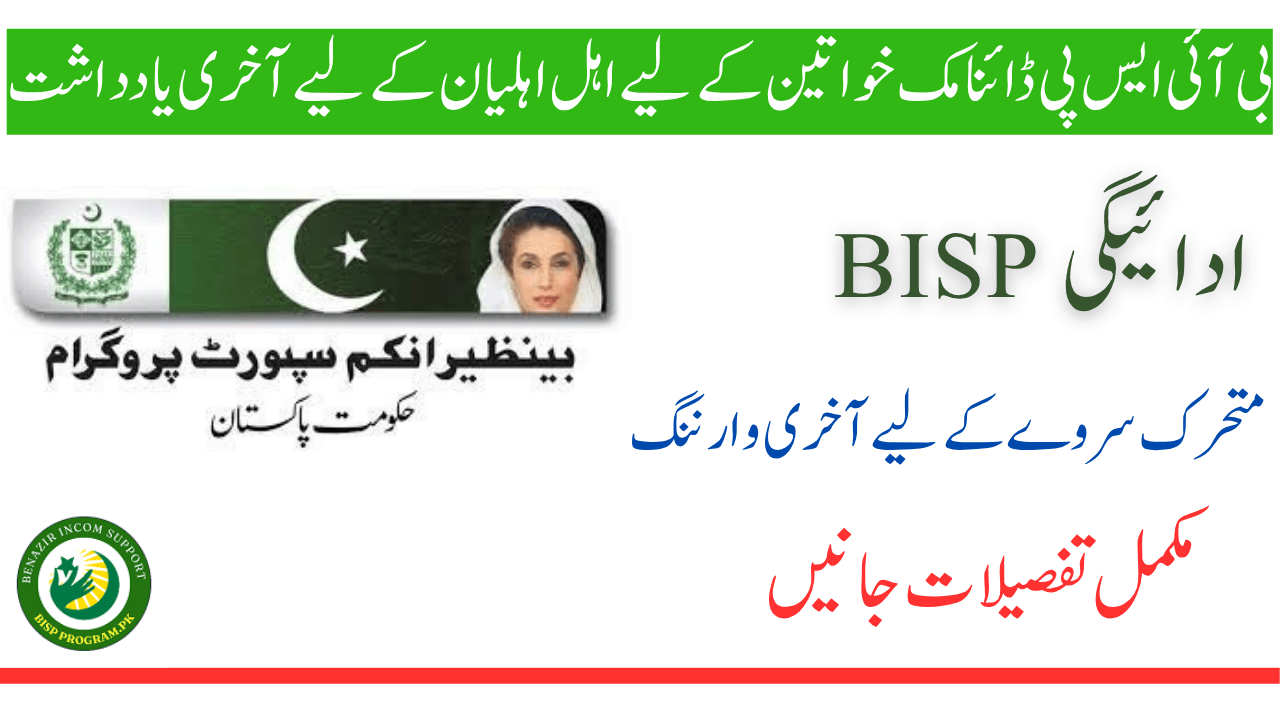BISP ڈائنامک سروے 2025