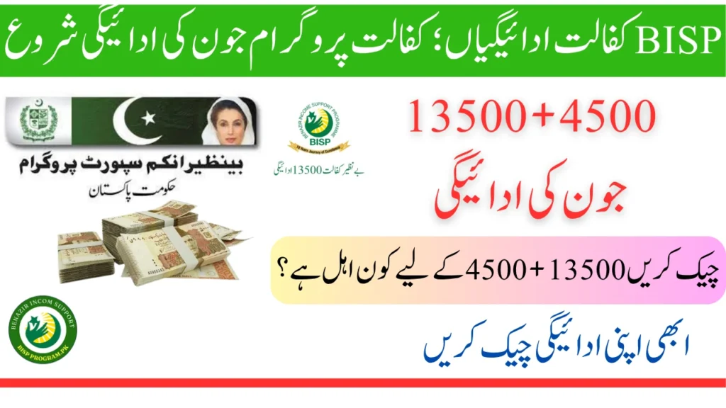 بی آئی ایس پی کفالت ادائیگیاں